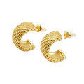 Antiqua