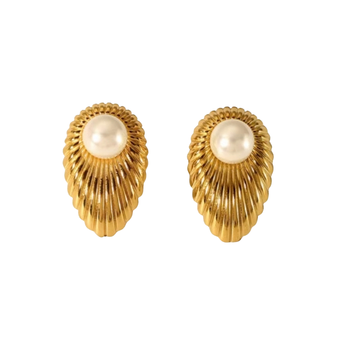 Coquille d'Amour